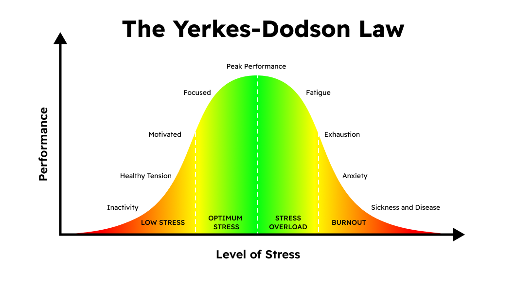 yerkes dodson law
